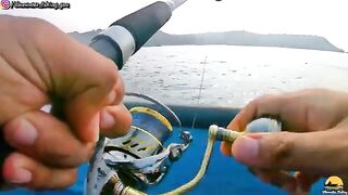Серебристую рыбу кладут в синюю лодку у Гоа