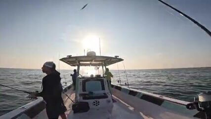 На рассвете вышли за кингфишем у Абу-Даби
