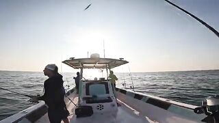 На рассвете вышли за кингфишем у Абу-Даби