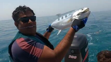Квинфиша подняли на моторной лодке у Бахрейна