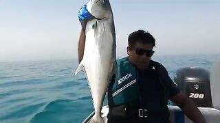 Квинфиша подняли на моторной лодке у Бахрейна