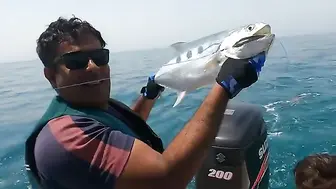 Квинфиша подняли на моторной лодке у Бахрейна