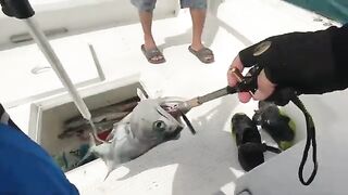 Тревалли уже на палубе после выхода из Абу-Даби