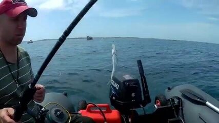 Ставридка и смарида с лодки у Севастополя
