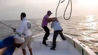 Три удилища сразу в работе у Абу-Даби