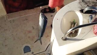 Рыба уже лежит на палубе на выходе у Пафоса
