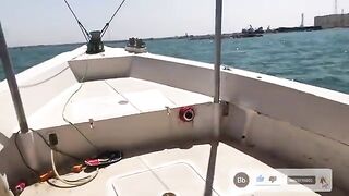 Улов уже в ящике на лодке у Рас-эль-Хаймы