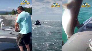 Рыбу тянут к белому борту в Абхазии