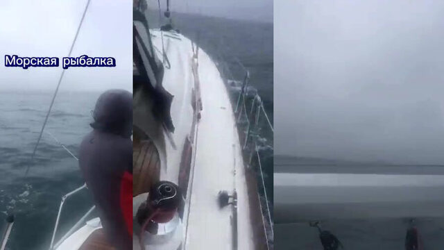 Лодка из Геленджика выходит на короткую рыбалку