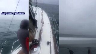Лодка из Геленджика выходит на короткую рыбалку