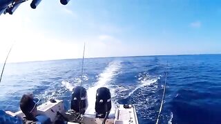 Марлин уже лежит на белой палубе у Марокко