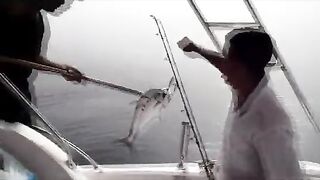У RAK Marine в Рас-эль-Хайме рыбу кладут на палубу