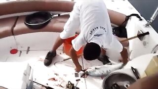 У RAK Marine в Рас-эль-Хайме рыбу кладут на палубу