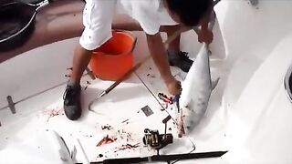 У RAK Marine в Рас-эль-Хайме рыбу кладут на палубу