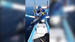 Кругом у Нуса-Пениды рыбу тянут на синюю палубу