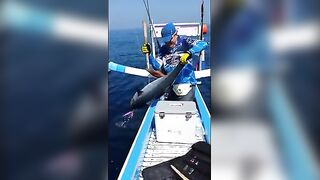 Кругом у Нуса-Пениды рыбу тянут на синюю палубу