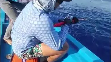 Под Фанрангом на джиге держат тяжёлого амберджека