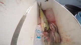 После короткого выхода в Мексике в ящике уже лежат дорадо и кальмар