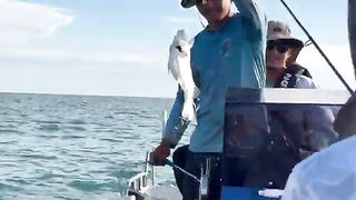 Под Ко-Чангом рыбу с малого борта берут в подсак