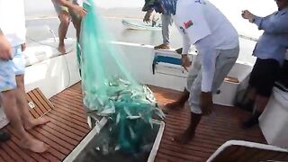 После выхода у Салалы рыбу уже режут на палубе