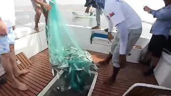 После выхода у Салалы рыбу уже режут на палубе