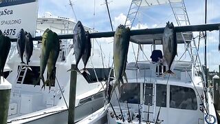 У Captain Joey на LegaSea рыба уже висит у причала