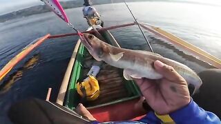 Помфрета у Бохоля берут на джиг с узкой лодки