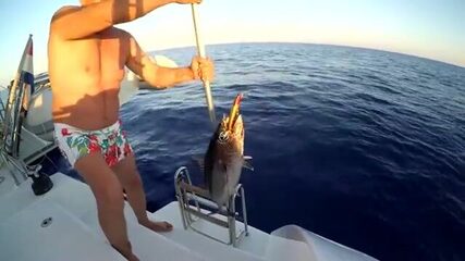Тунца у Лимасола поднимают на борт у самой кормы