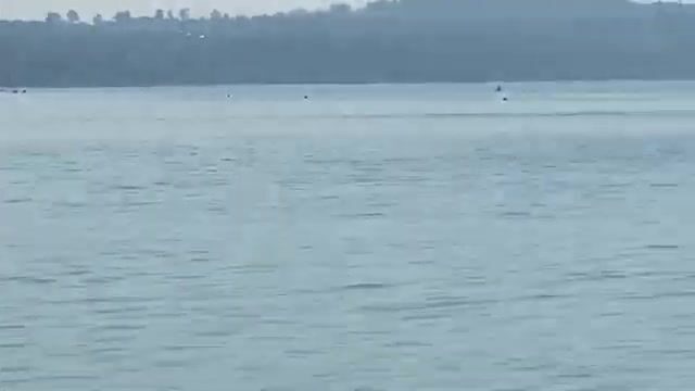 В Новом Афоне четыре барабульки за полтора часа, зато собачки без выходных