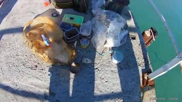 «Кефаль берёт на печень трески с манкой», учат рыбаки Нового Афона