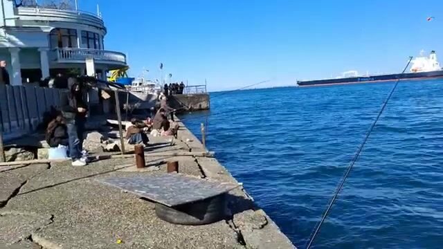 Стенка в батумском порту забита людьми, а рыба у одного