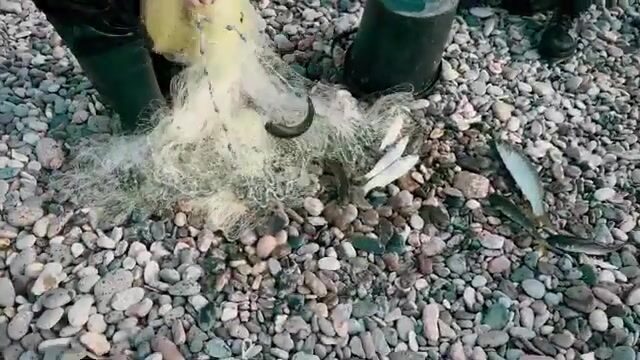 Форель на Чорохе под Батуми: что делать, если вода поднялась
