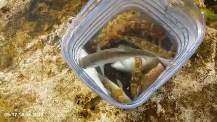 За пятым микрорайоном Актау плиты уходят в Каспий, там стоит кефаль