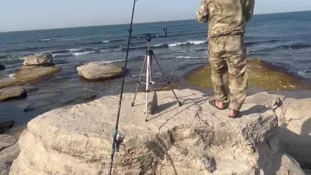 20 августа сосед по актаускому берегу вытащил восемь, а я считал волны