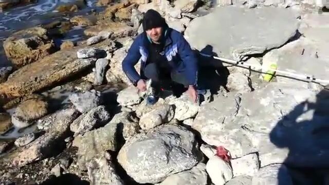 Кефаль под самыми ногами: как её взять в черте Актау