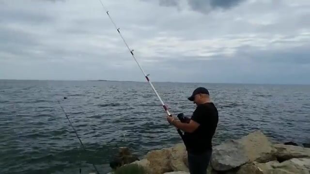20-й участок под Баку: с чего начать новичку на каспийском берегу