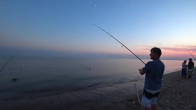 Первый раз на Каспии, район Баку. Кутум и кефаль в одном садке
