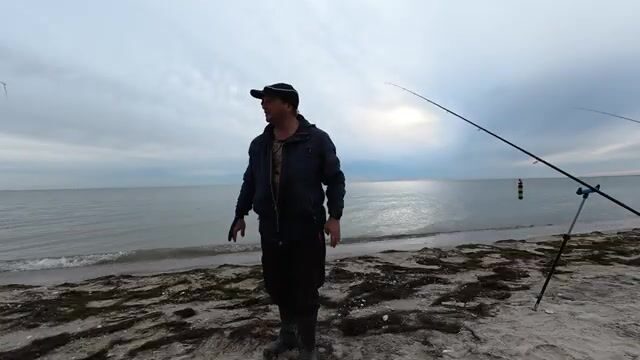 Три недели по нулям. Потом коса под Бердянском отдала пеленгаса