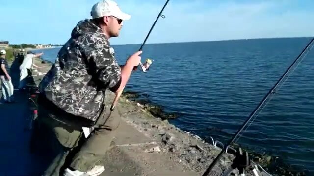 Куда прийти новичку за азовским пеленгасом? На бердянскую набережную