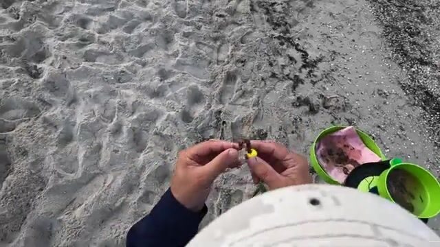 Дальний заброс и крепкая губа: как ловить пиленгаса в Бердянске