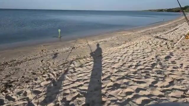Дальний заброс и крепкая губа: как ловить пиленгаса в Бердянске