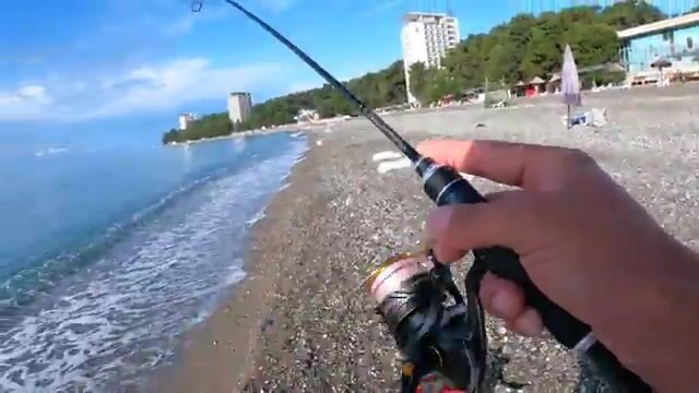 Лахадзы под Пицундой: горбыль номер два и ставрида у самых ног