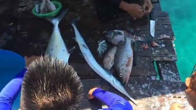 Первый дневной выход из Нячанга: с чего начать на троллинге
