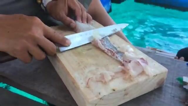 Первый дневной выход из Нячанга: с чего начать на троллинге