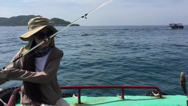 Групер у дна, макрель по верху: как читать бухту Нячанга с лодки