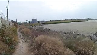 Морпорт Ейска, рассвет над камышом и первая тарань конца сентября
