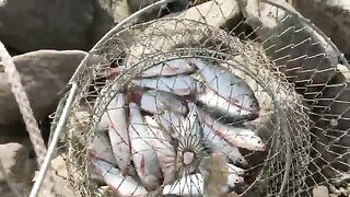 Морпорт Ейска, рассвет над камышом и первая тарань конца сентября