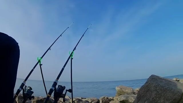 Морпорт Ейска, рассвет над камышом и первая тарань конца сентября