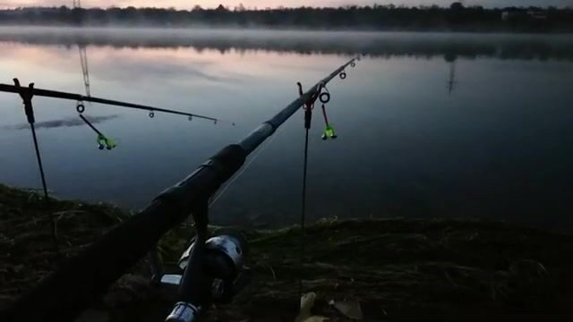 Семь удочек, один хвост: как Донецкое море оставило меня с носом в конце октября