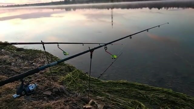 Семь удочек, один хвост: как Донецкое море оставило меня с носом в конце октября